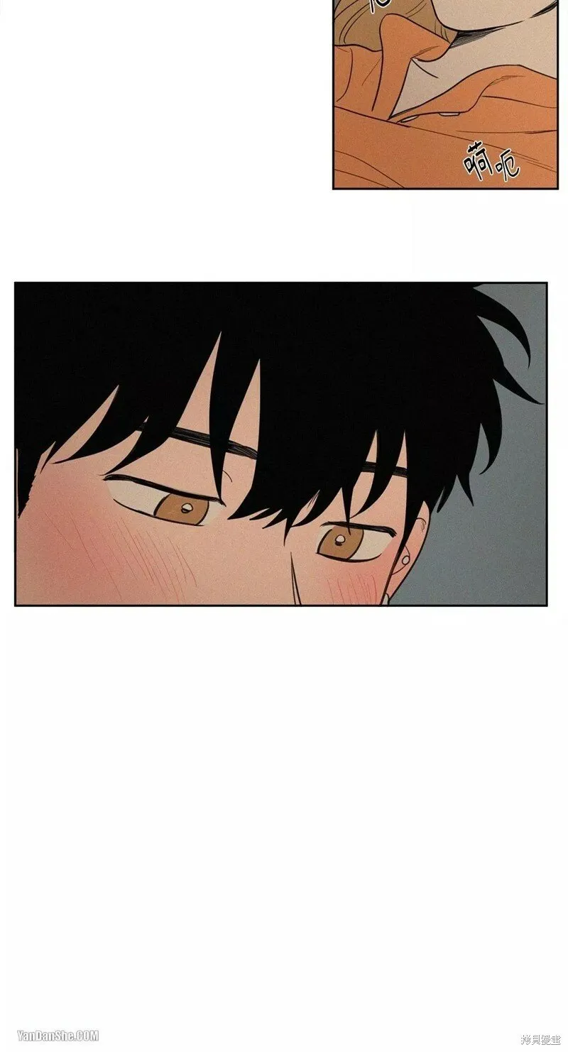 第47话 第38页