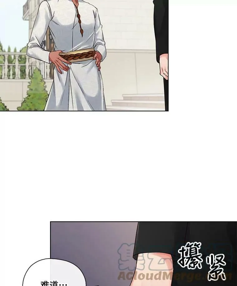 4.误入“熊”洞 第37页