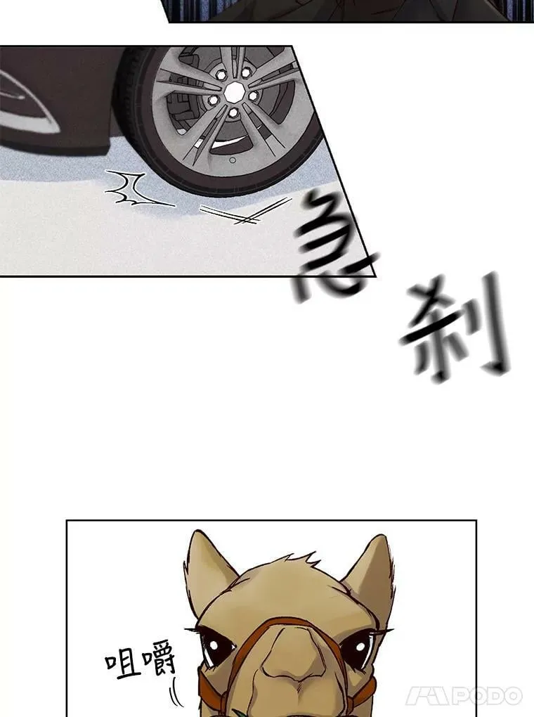 5.压力的源泉 第21页