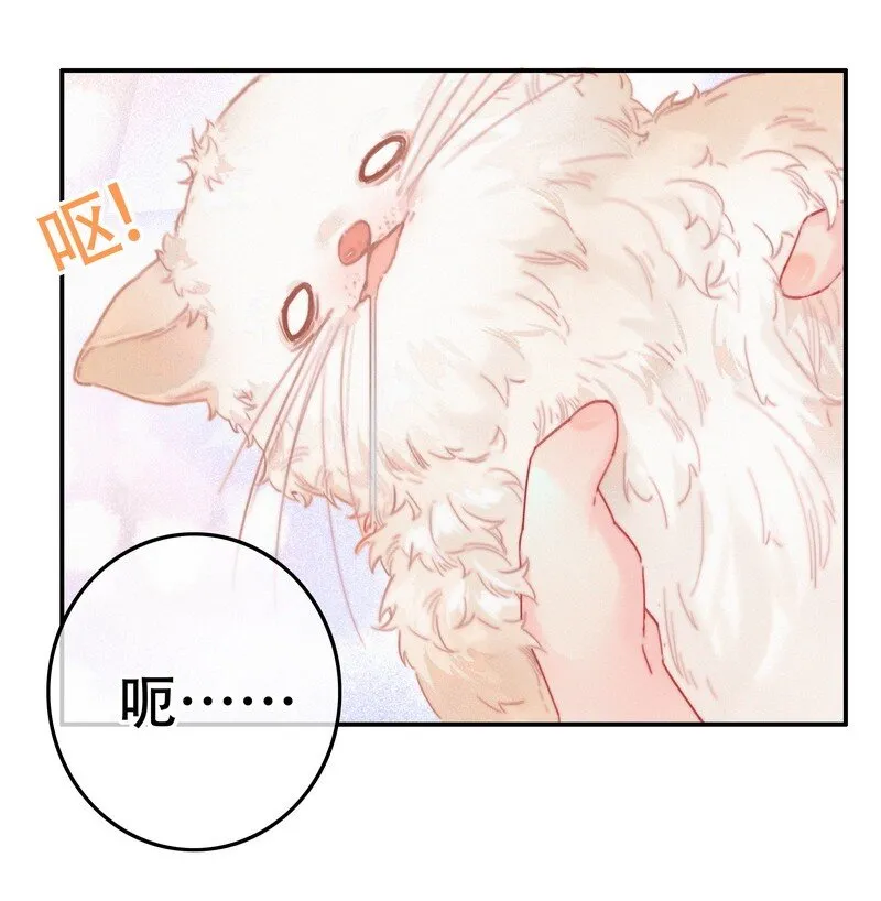060 你喂吐我的猫了 第6页