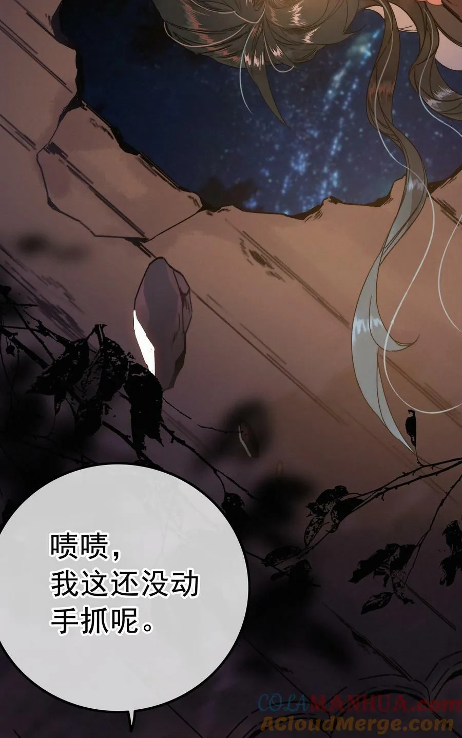 066 玉佩怎么就是你的了？ 第11页