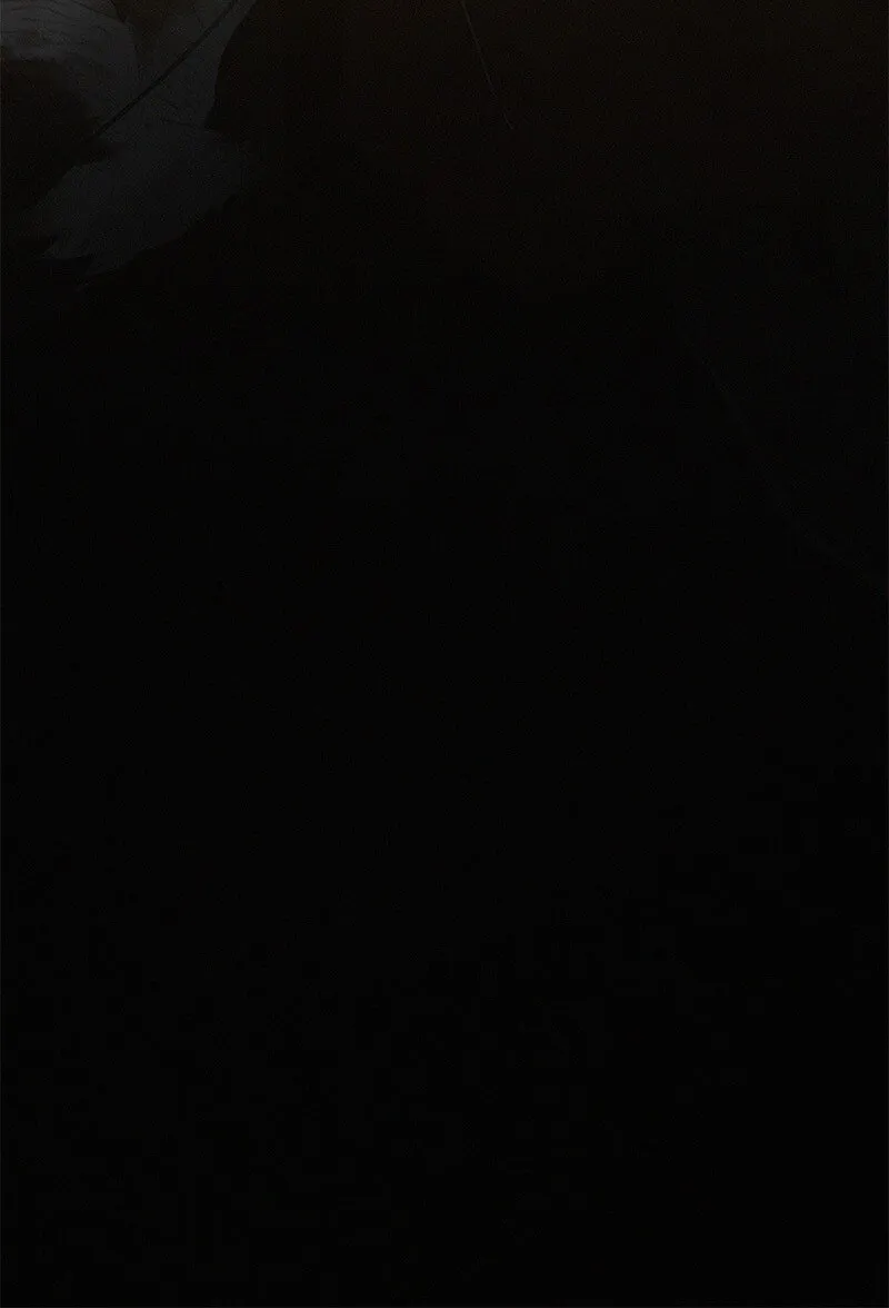 052 杀千刀的枯水期 第27页