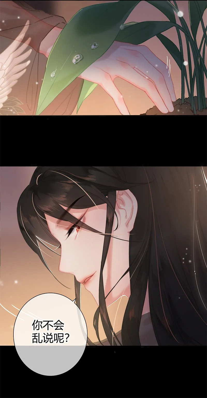 003 为陛下马首是瞻 第11页