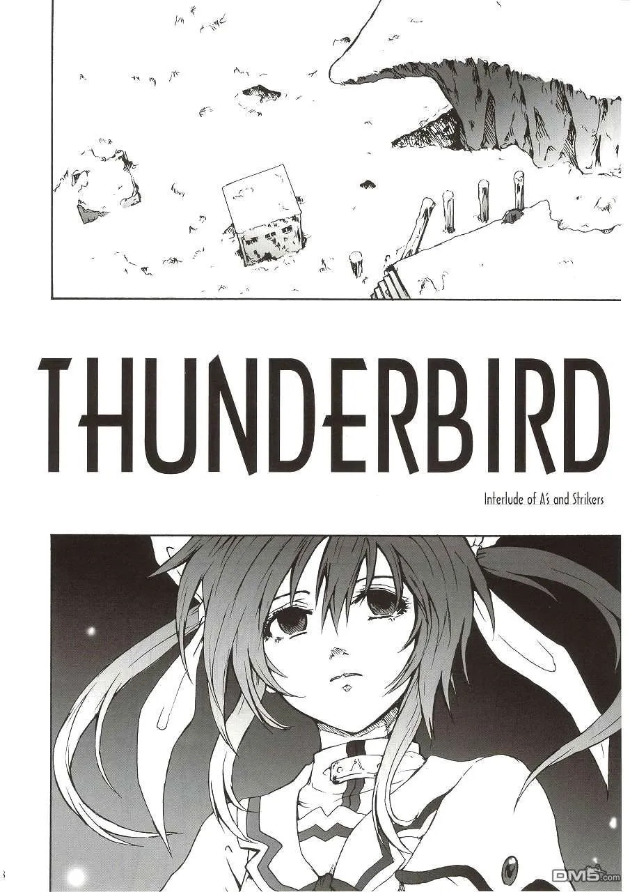 ThunderBird  第6页