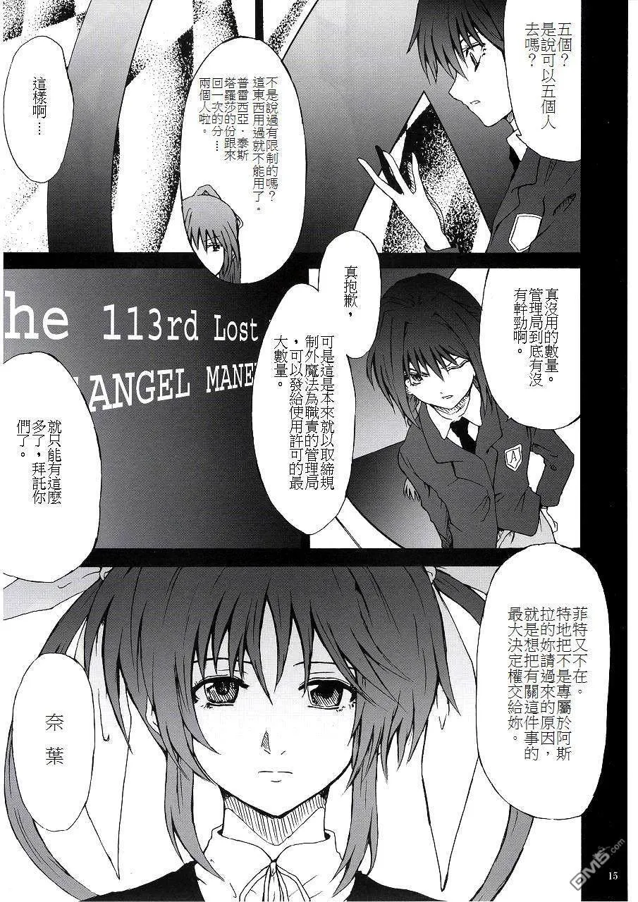 ThunderBird  第13页