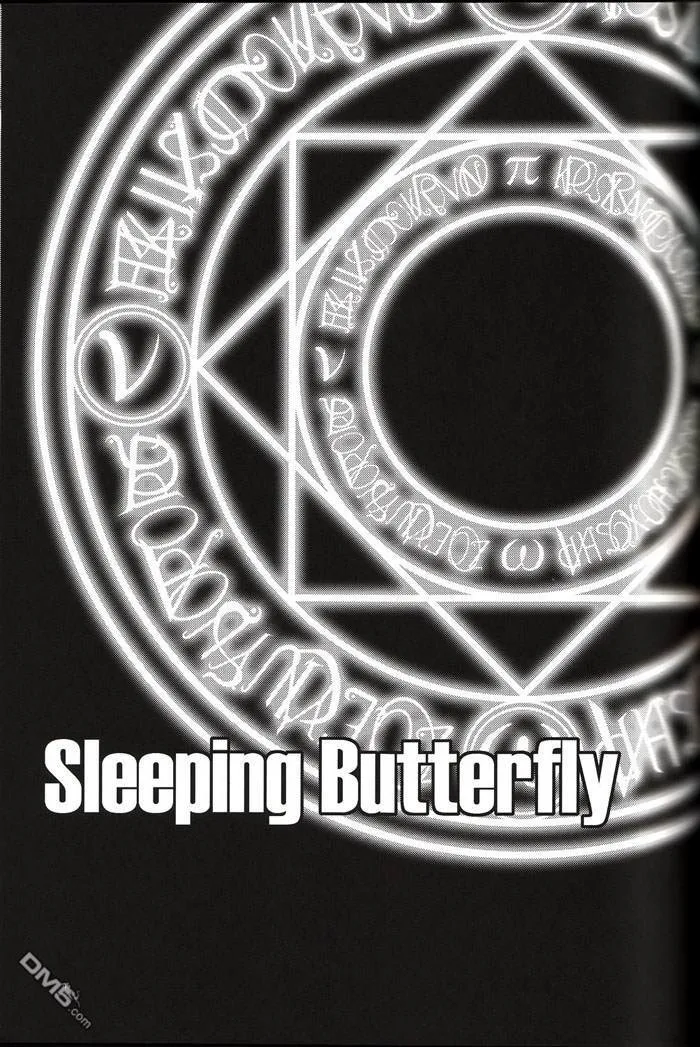 Sleeping Butterfly  第6页