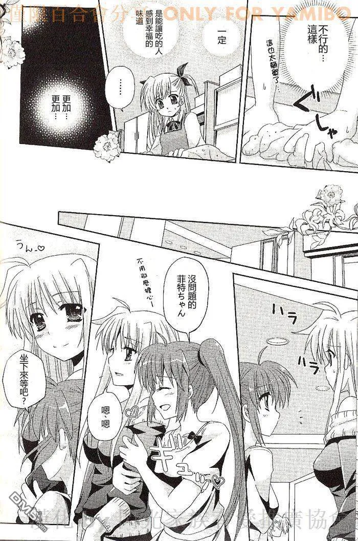 魔法少女リリカルなのは公式同人志  第13页