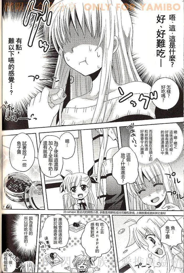 魔法少女リリカルなのは公式同人志  第15页