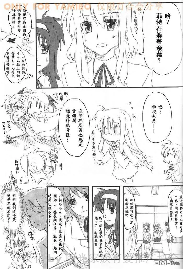 NEXT STEP  第4页