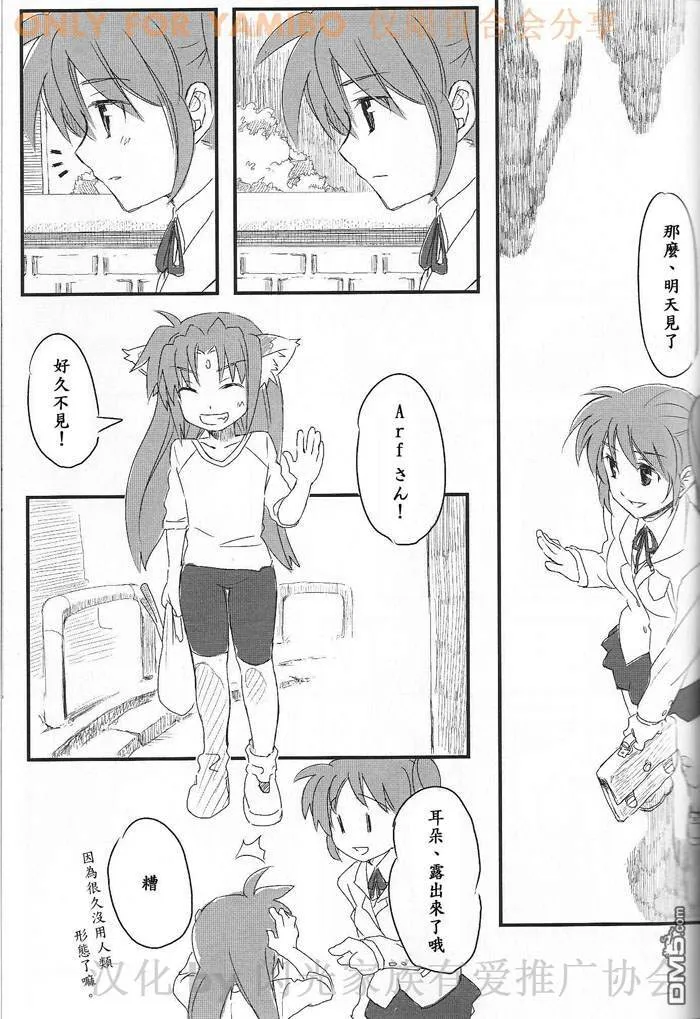 NEXT STEP  第6页
