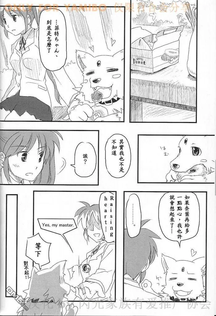 NEXT STEP  第7页