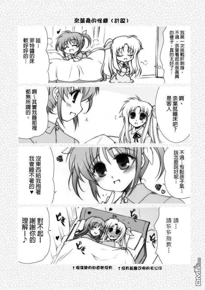 魔法少女リリカルなのはA's の本  第13页