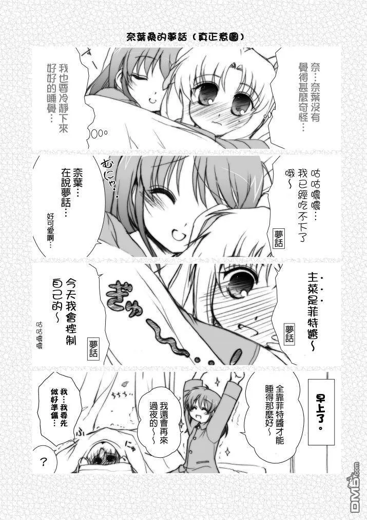 魔法少女リリカルなのはA's の本  第14页
