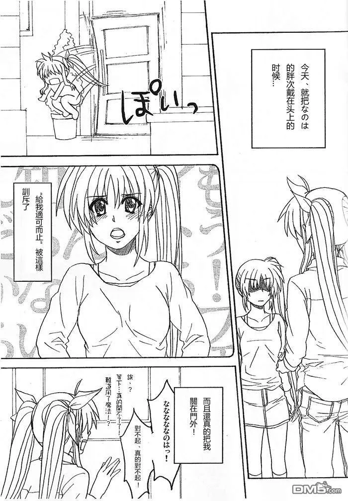 I LOVE NANOHA  第5页