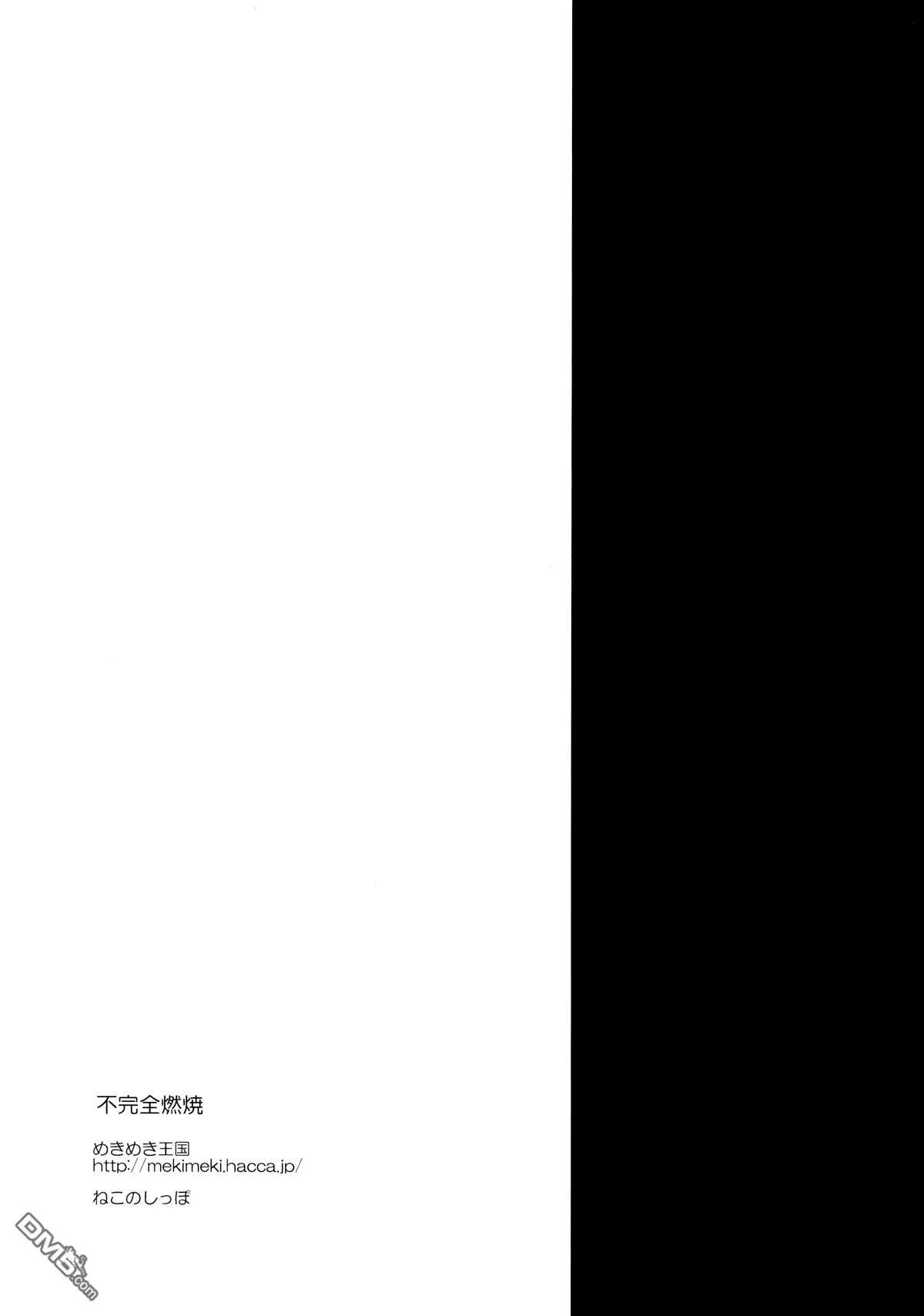 不完全燃烧  第12页