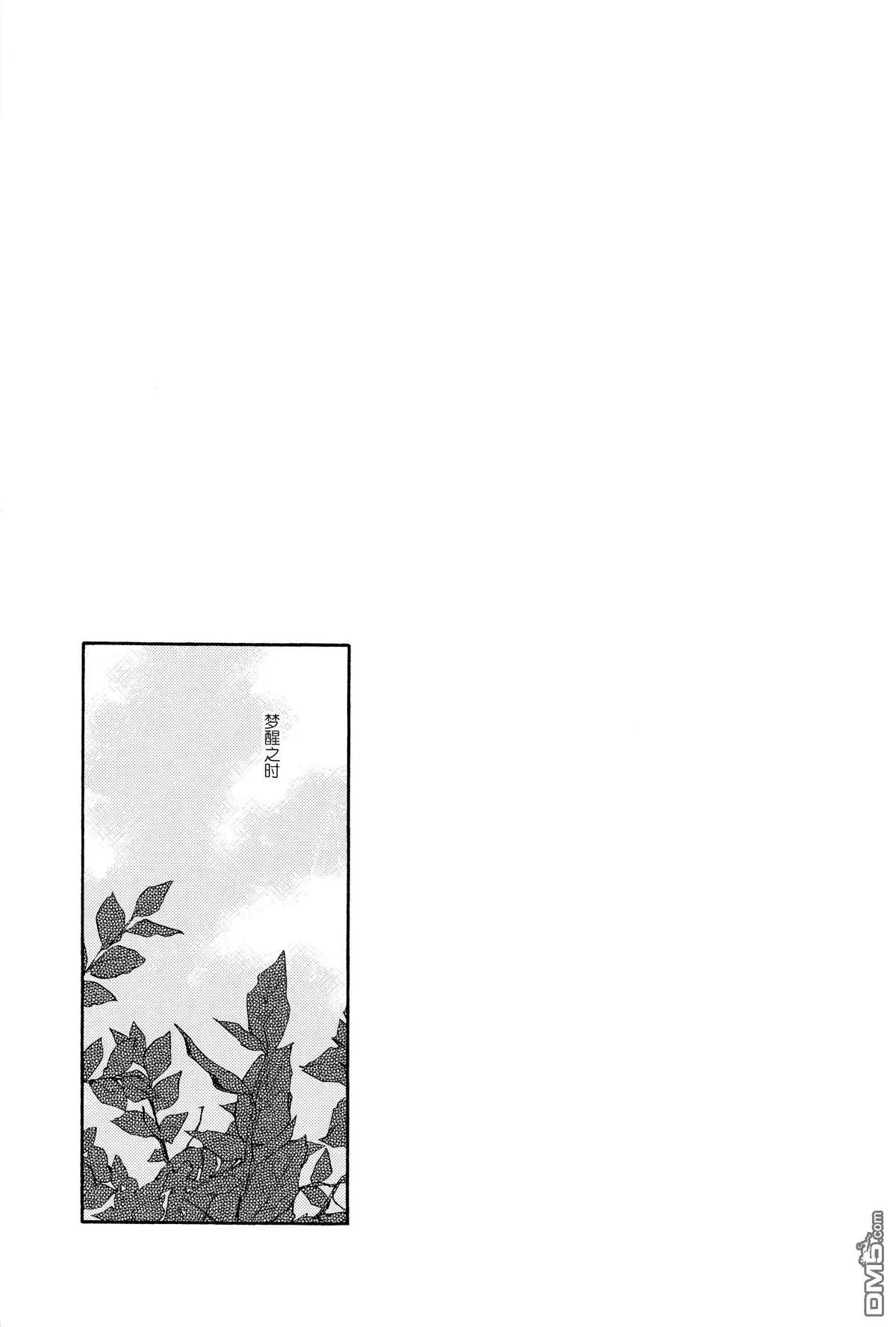 Bloom  第15页