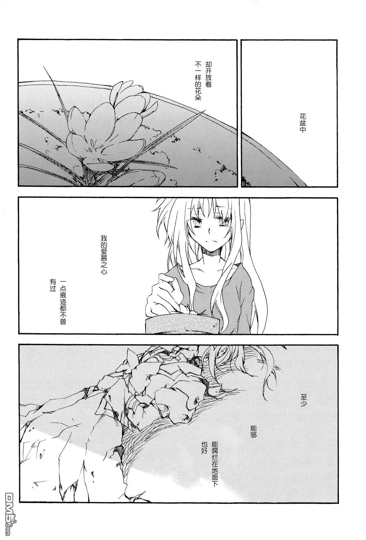 Bloom  第16页