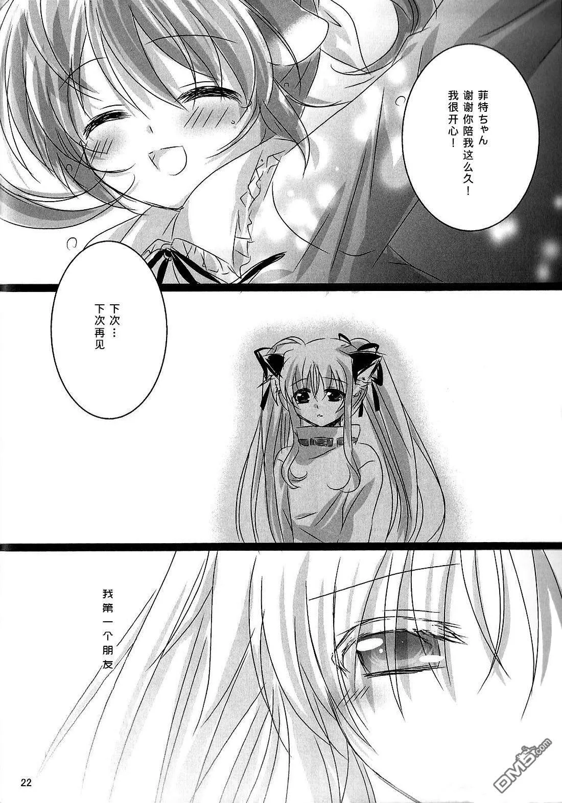 リリカルわんにゃん-阿猫阿狗  第21页