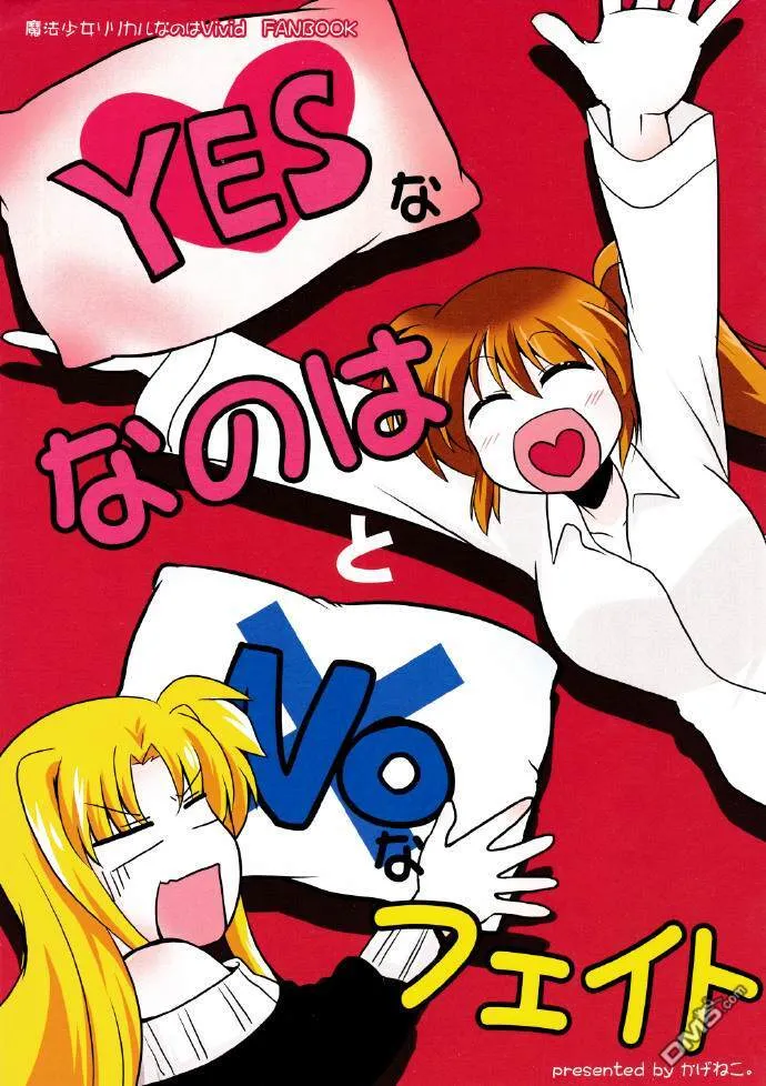 yes な なのは と no な フェイト  第1页