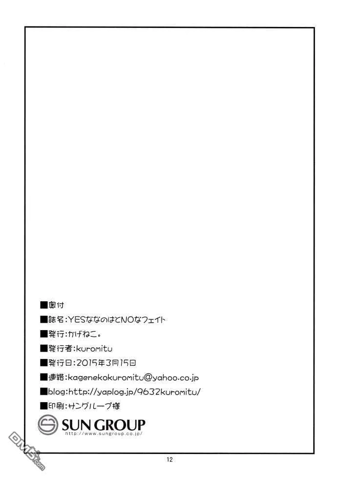yes な なのは と no な フェイト  第13页