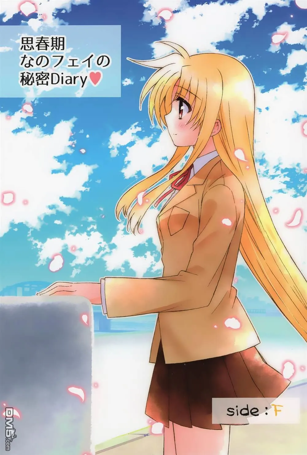 思春期なのフェイの秘密Diary sideF  第1页