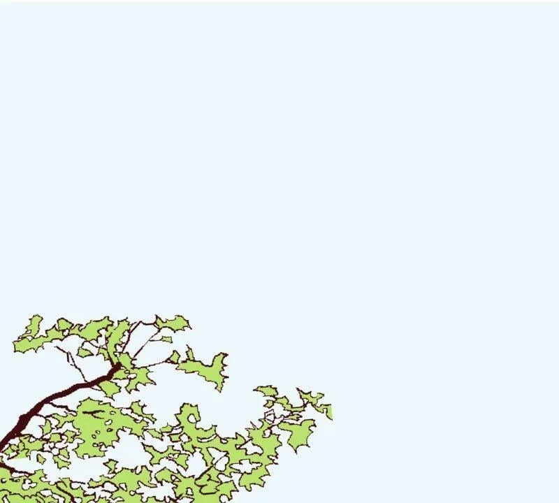 第22话 声东击西 第15页