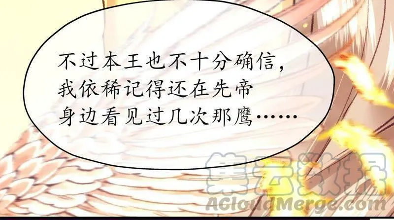 第45话 鸢飞戾天 第41页
