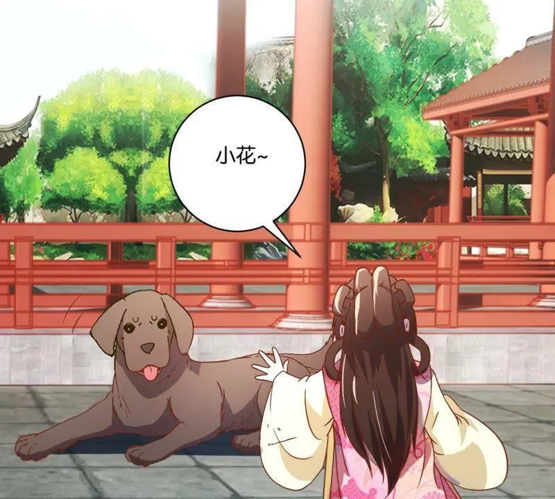 第132话 我不是兽医 第5页
