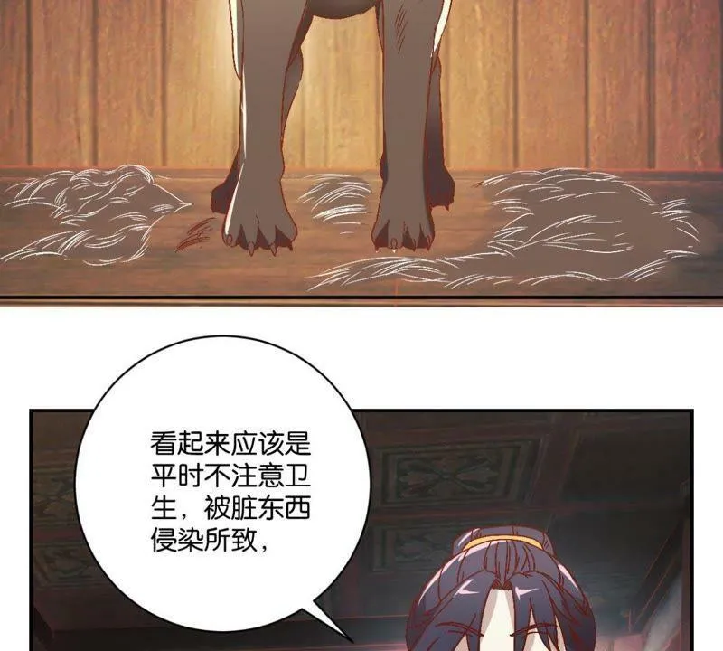 第132话 我不是兽医 第42页
