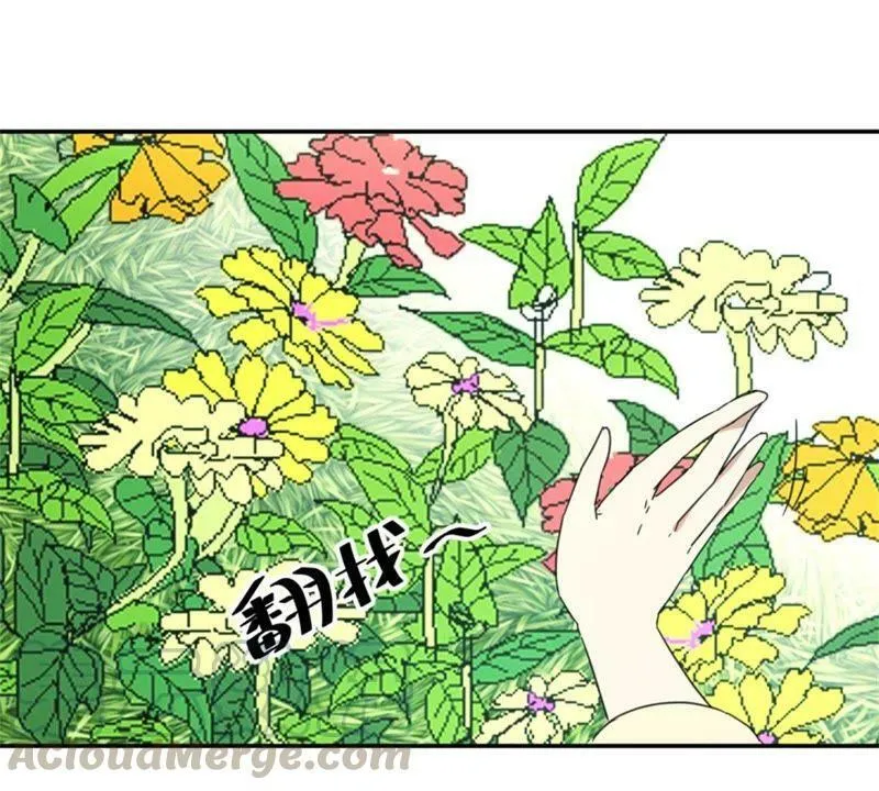 第151话 老花匠 第41页
