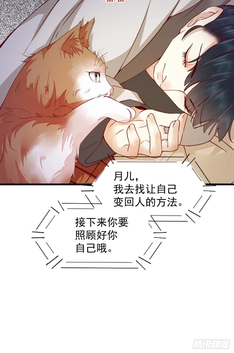 31-情深 第16页