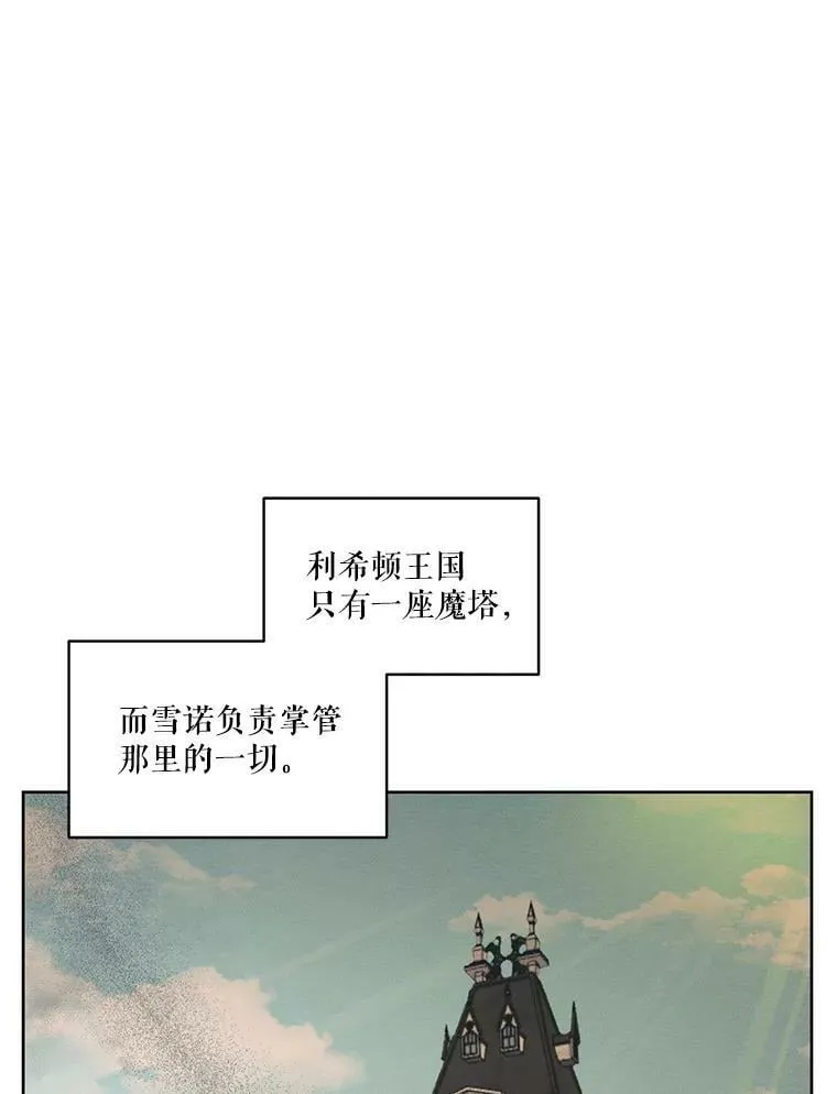 17.魔塔的推荐函 第12页