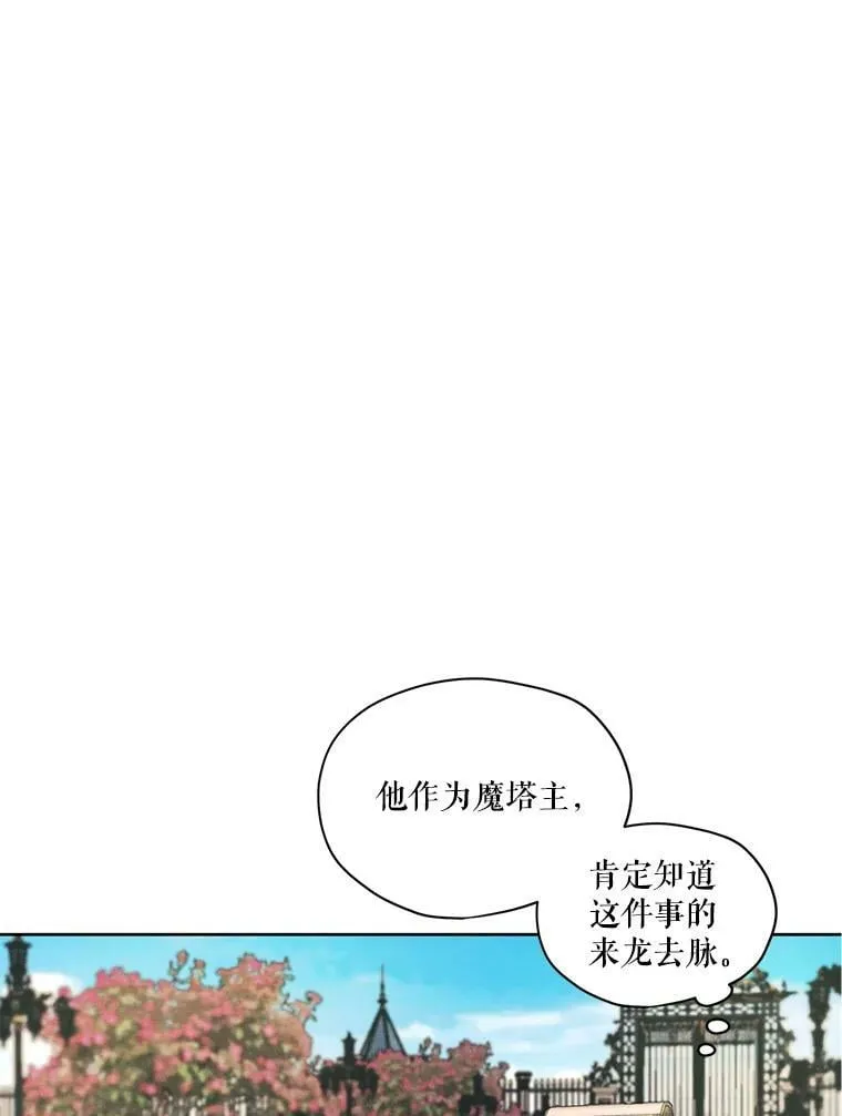 17.魔塔的推荐函 第41页
