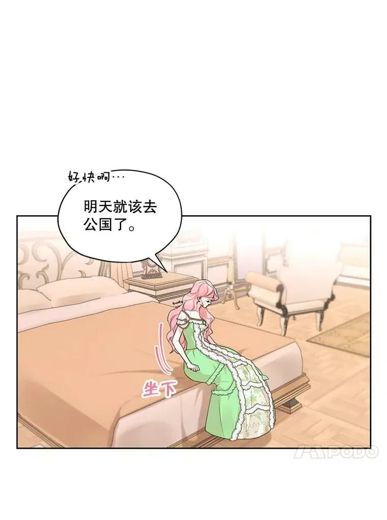 29.到达大公府 第20页