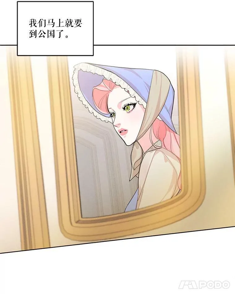 29.到达大公府 第42页