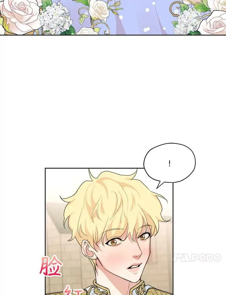 30.艾利奥王子 第17页