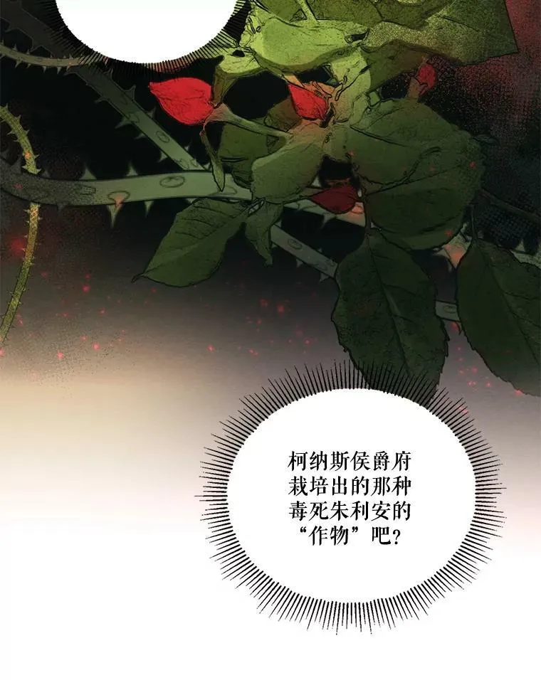 55.欧利安王国 第78页