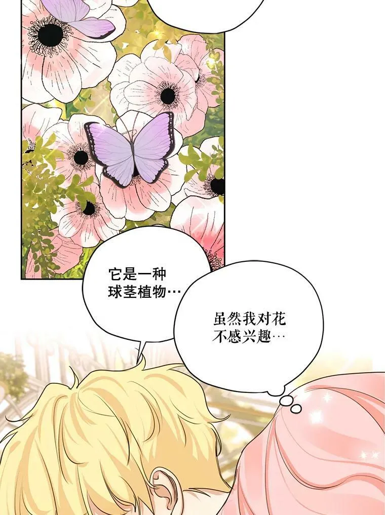 62.秘密花园 第42页
