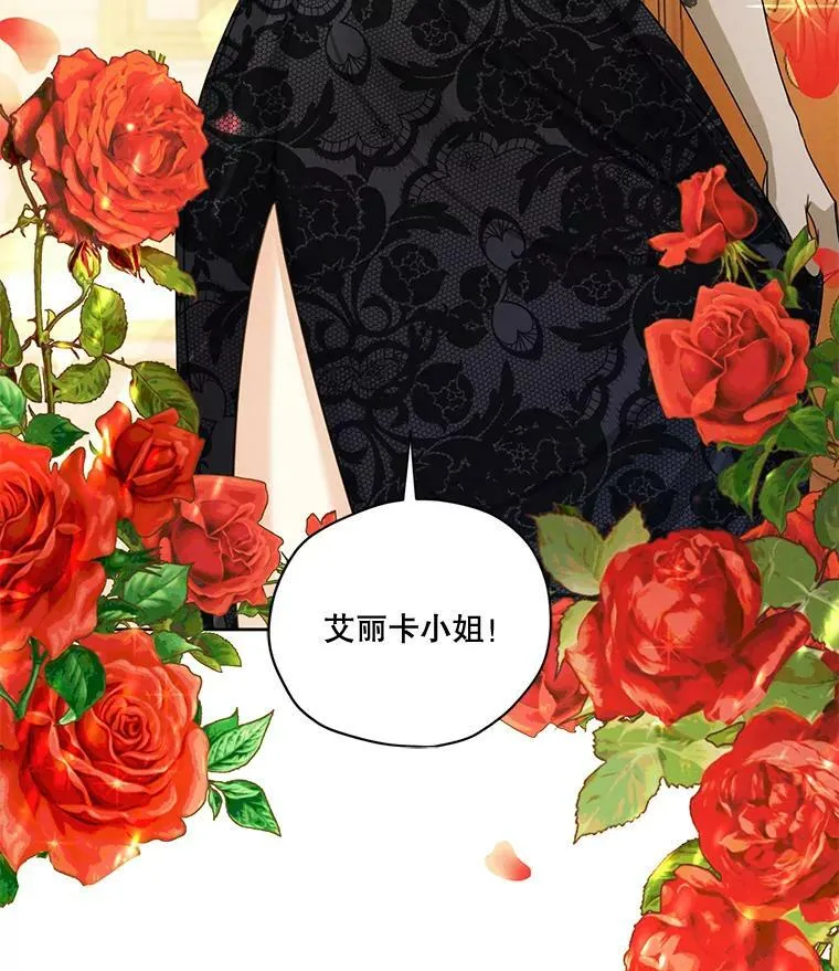 73.又见海莉小姐 第36页