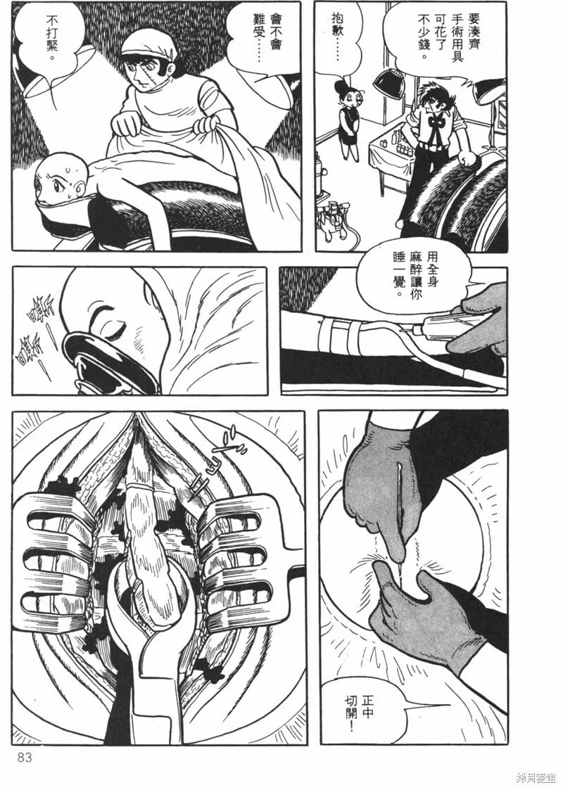 第21卷 第85页