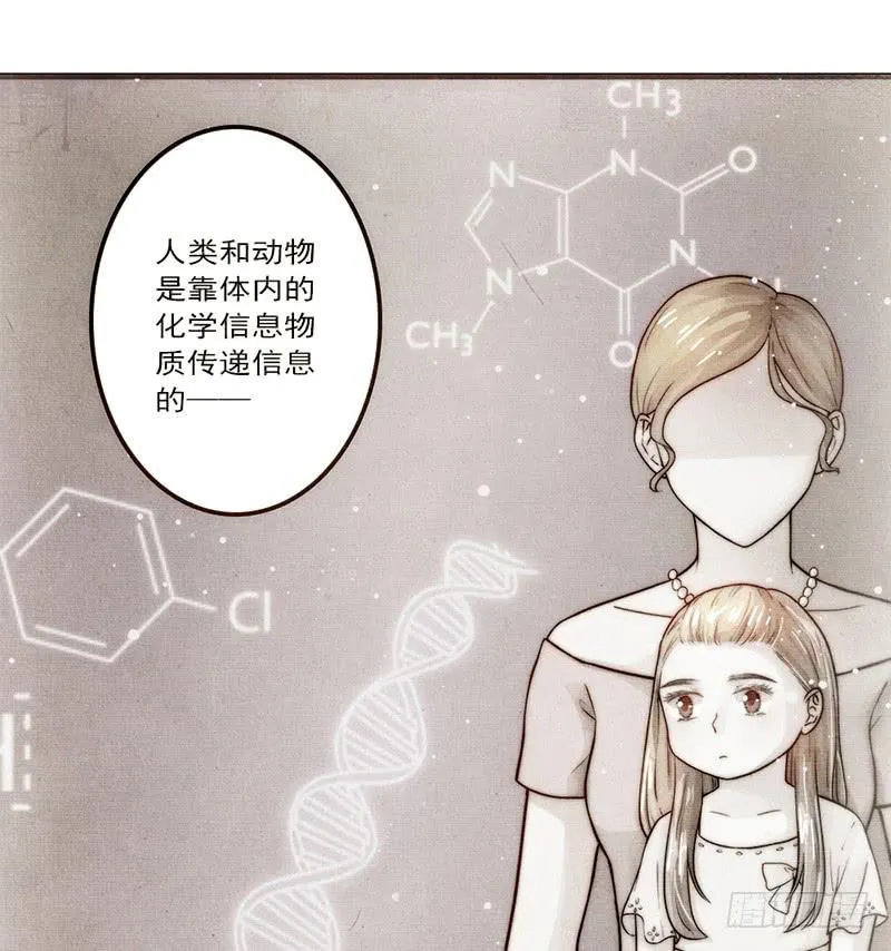15话 论坛的邪道 第10页