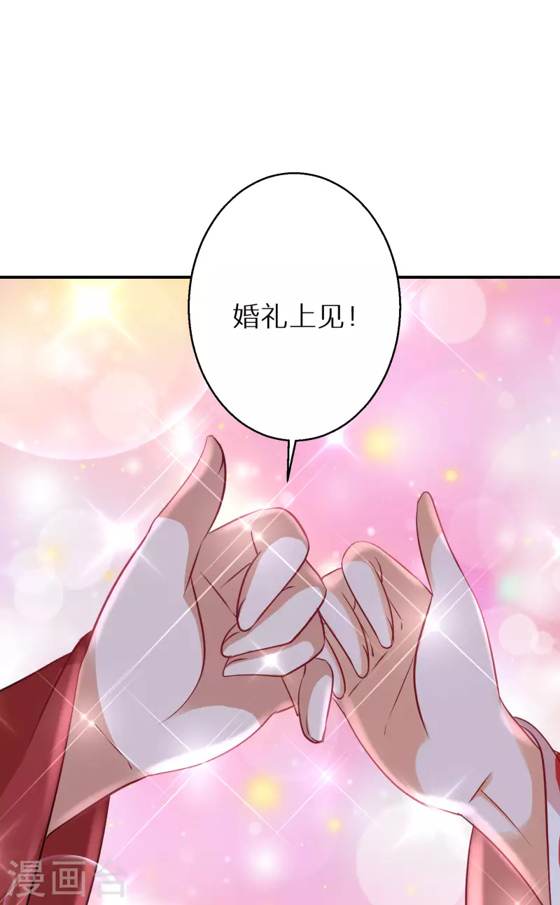 第166话 婚礼上见 第29页