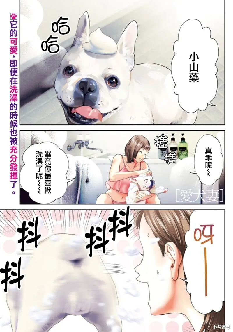 第50话爱犬妻1 第1页