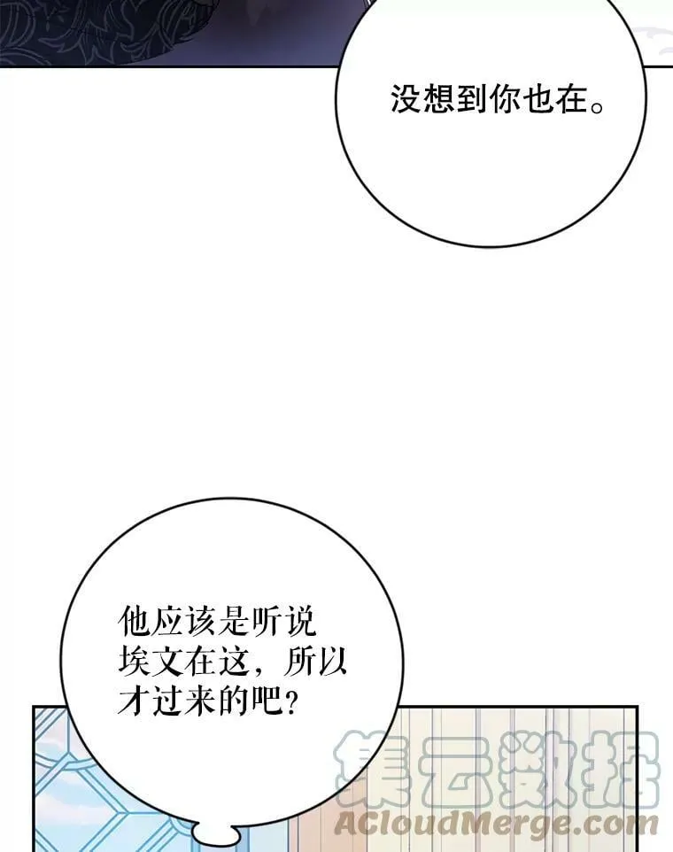 13.坚果曲奇 第5页