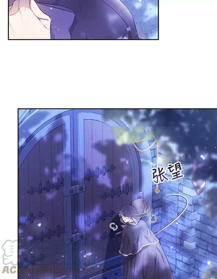 31.间谍 第13页