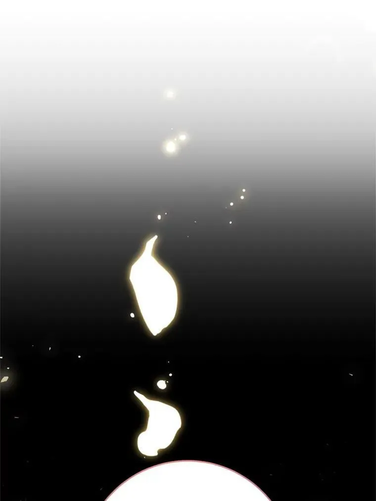 58.拜见陛下 第96页