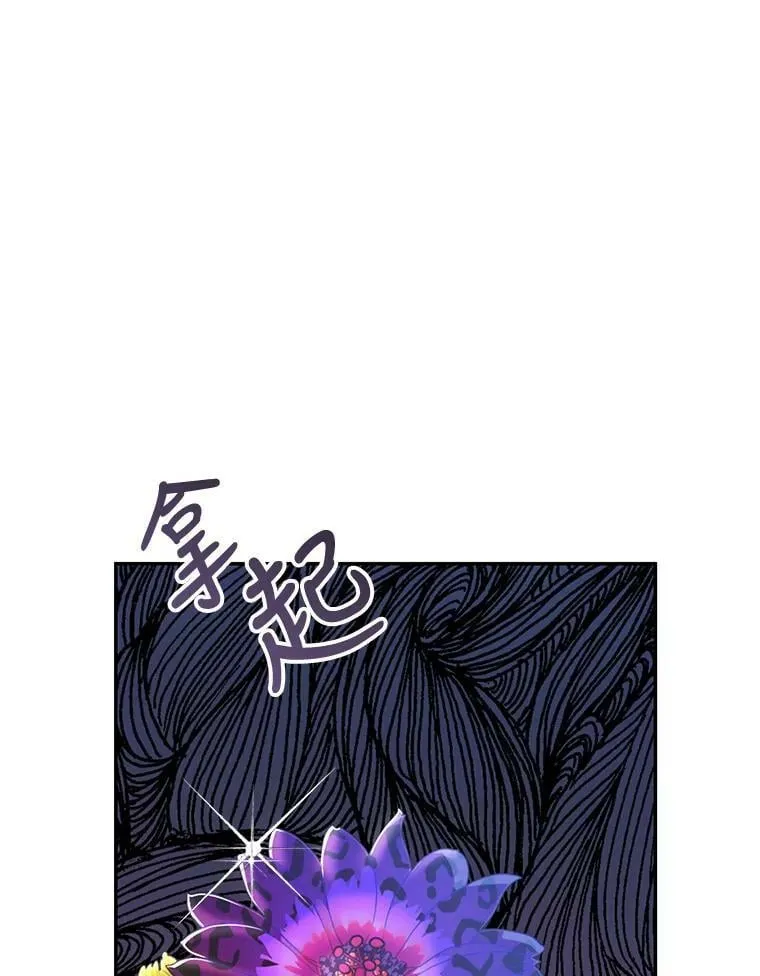60.插花 第3页