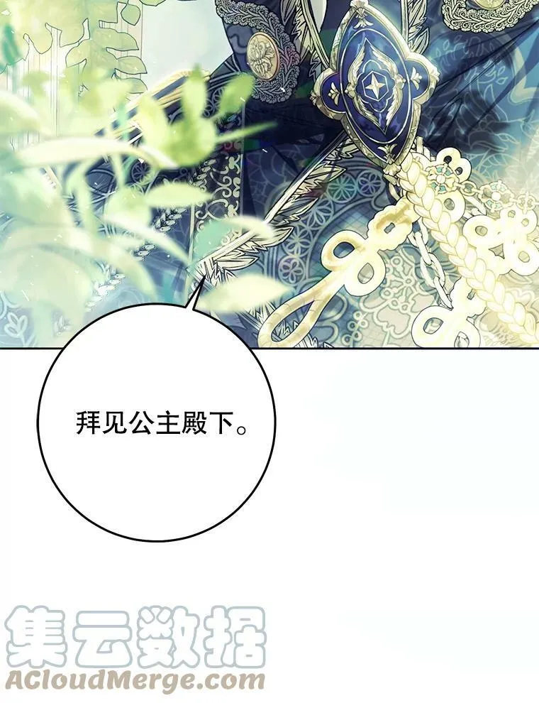 60.插花 第85页