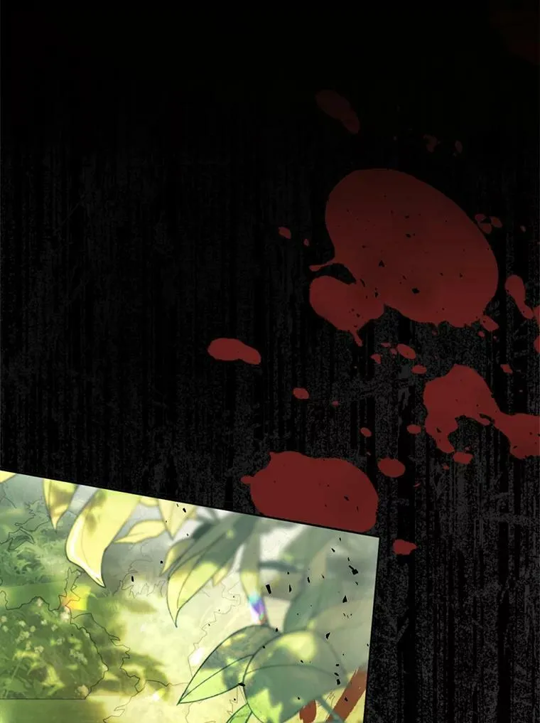62.刺杀 第66页