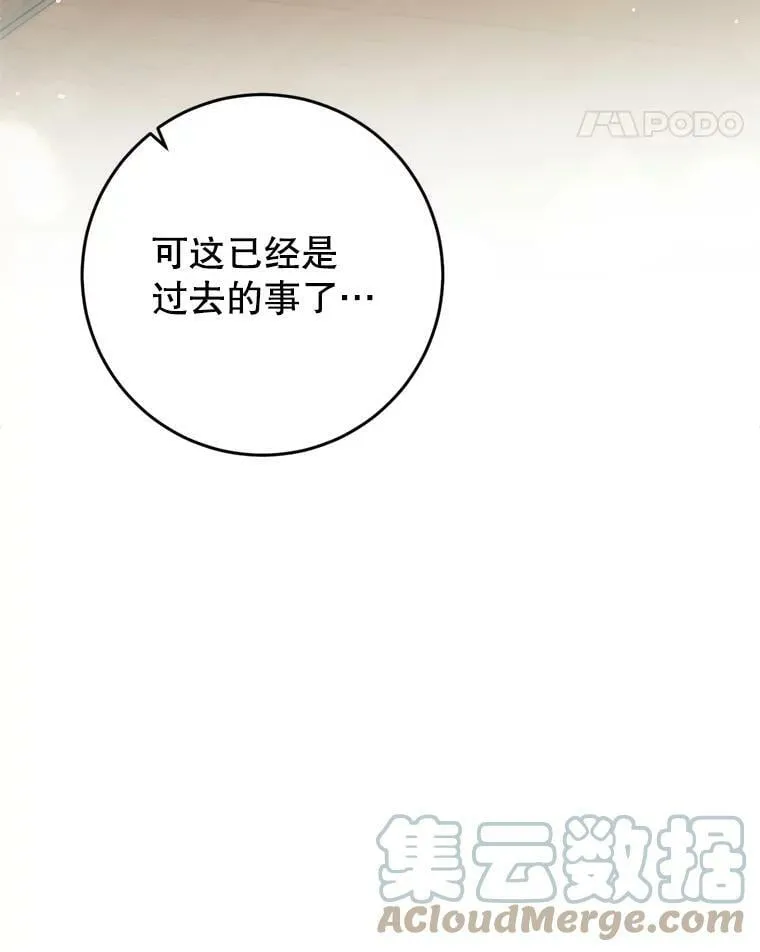 63.提议 第45页
